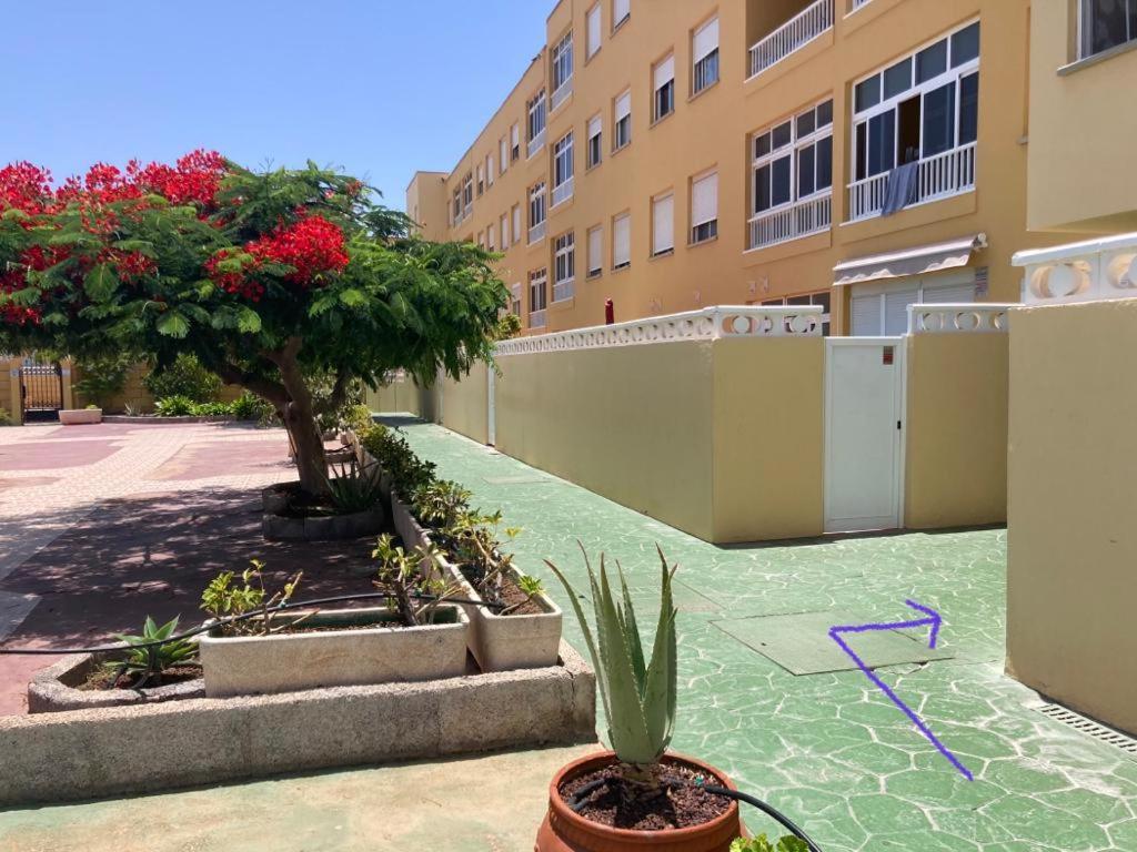 Ferienwohnung Anka Talo El Médano Exterior foto